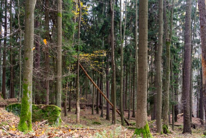 Nationalpark Stołowe-Gebirge