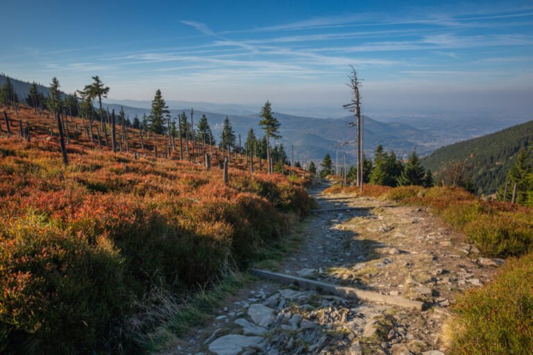 Die Spur von M. Orłowicz - Hauptsudetenweg