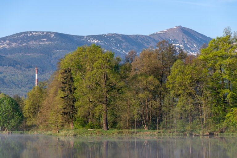 Ponds Podgorzynskie