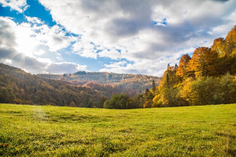 Elbgipfel – ein weiterer Berg, den es zu bezwingen gilt