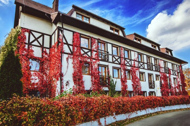 Miejsce na szkolenie – jak wybrać idealne?