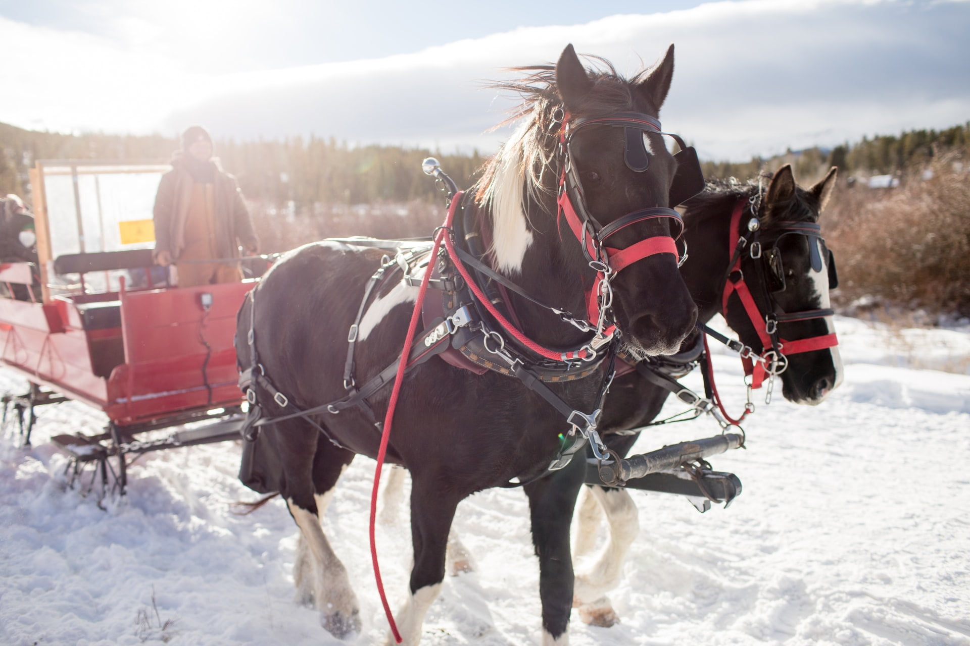 Company sleigh ride