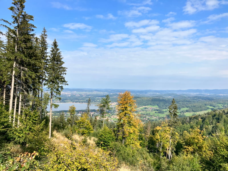 Widok na zalew w Sosnówce