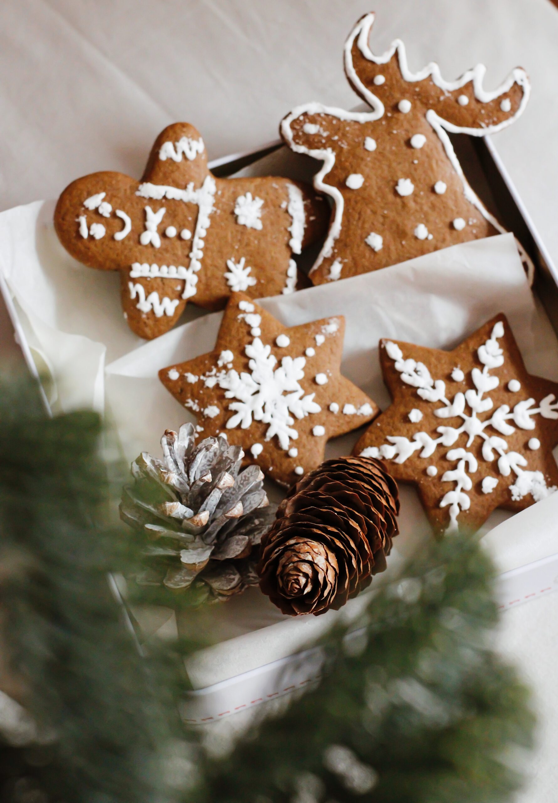 Weihnachtslebkuchen