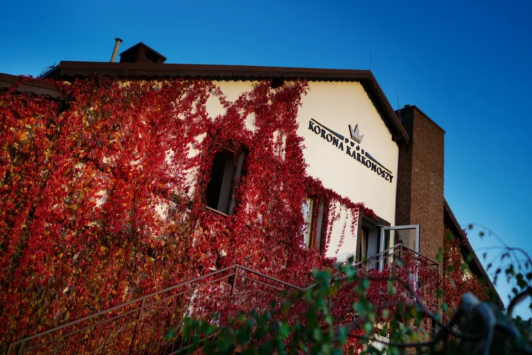 Sosnówka hotel – idealne miejsce na firmowe eventy