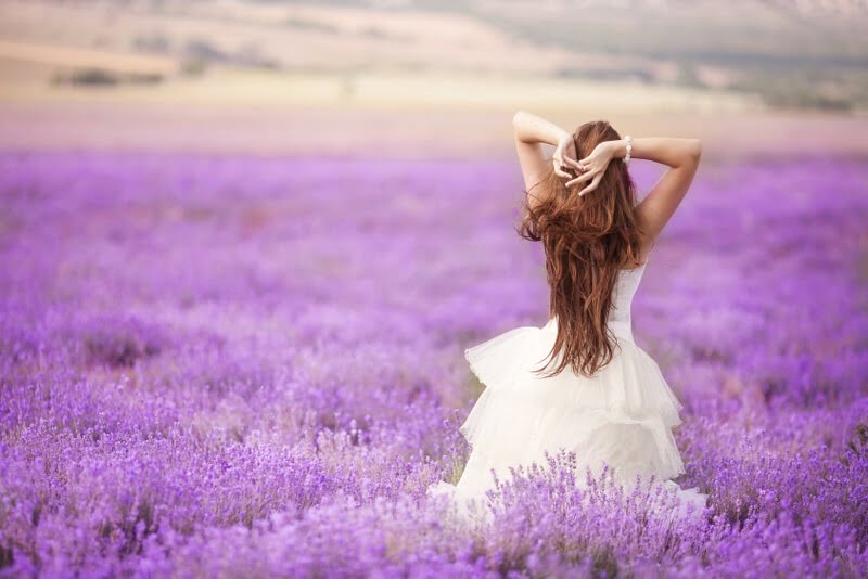 Lavendel Hochzeit im Frühling