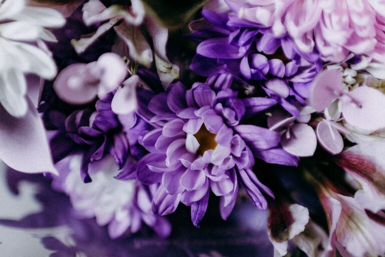 Kolor przewodni wesela fiolet – sprawdzi się nie tylko jesienią