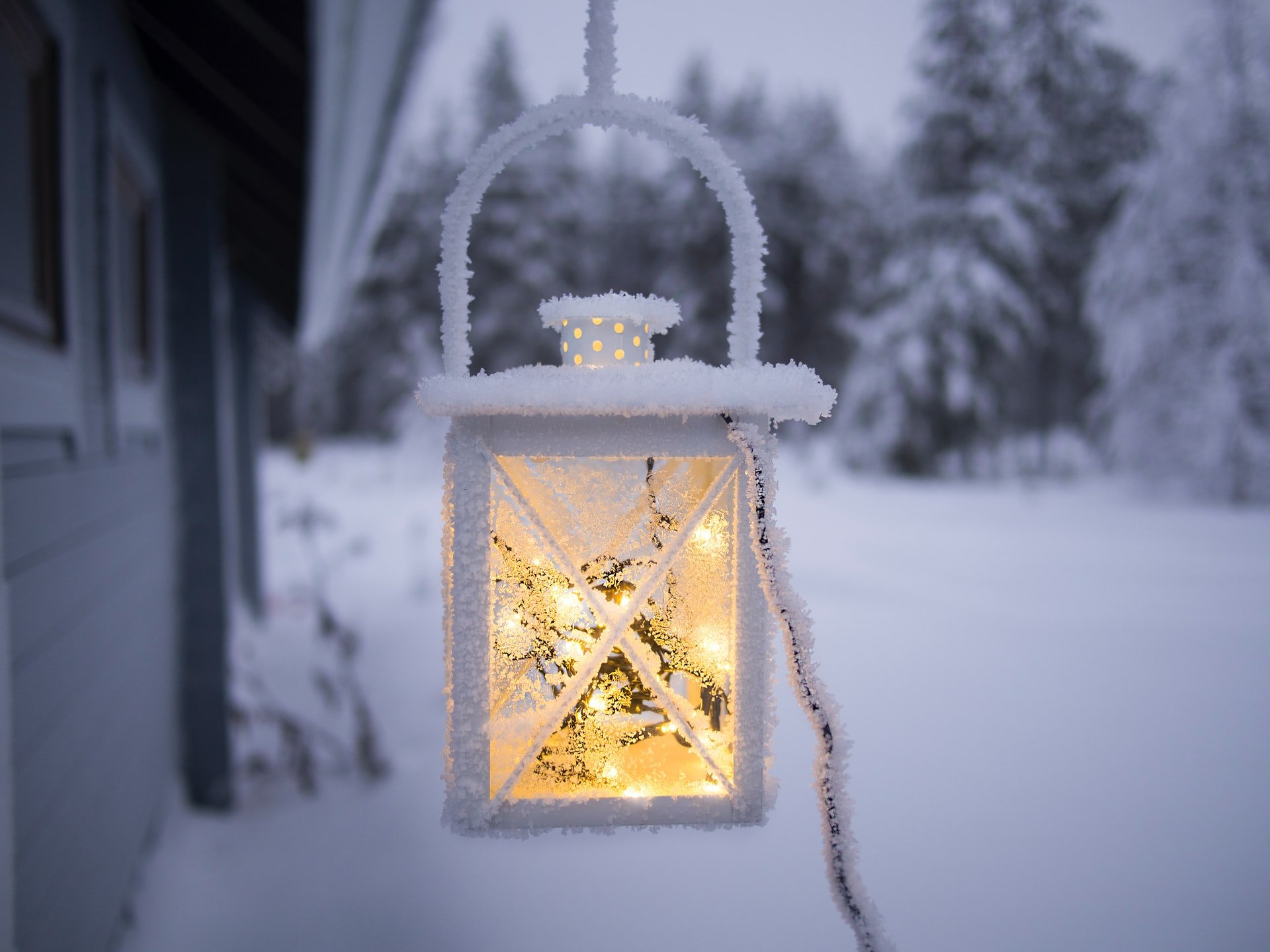 Winterhochzeit: Hochzeitssession