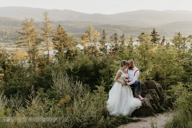 Where can you organize a wedding in Lower Silesia?