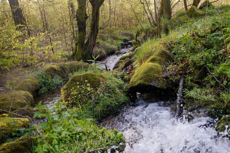 A wild stream in Karpacz, a mountain river, a rushing stream