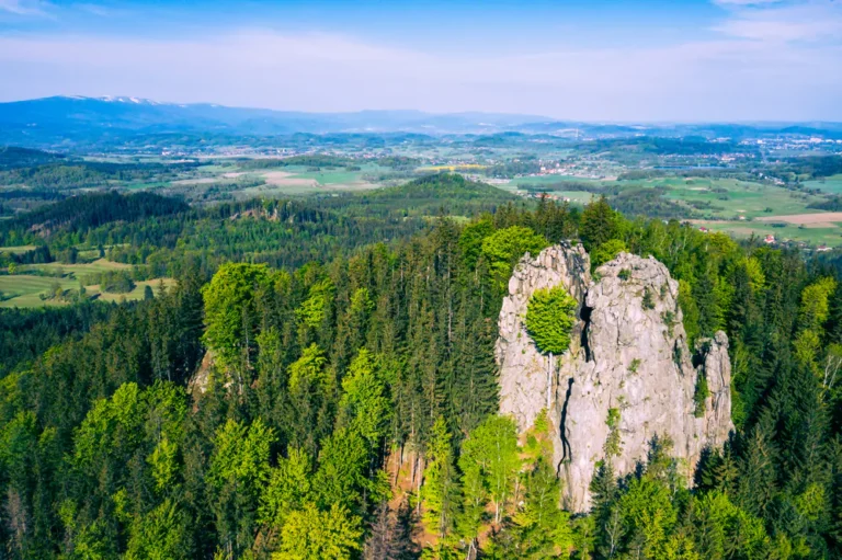 Landscape park in the mountains