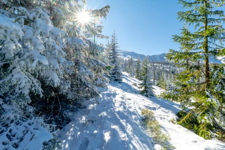 Winter im Riesengebirge