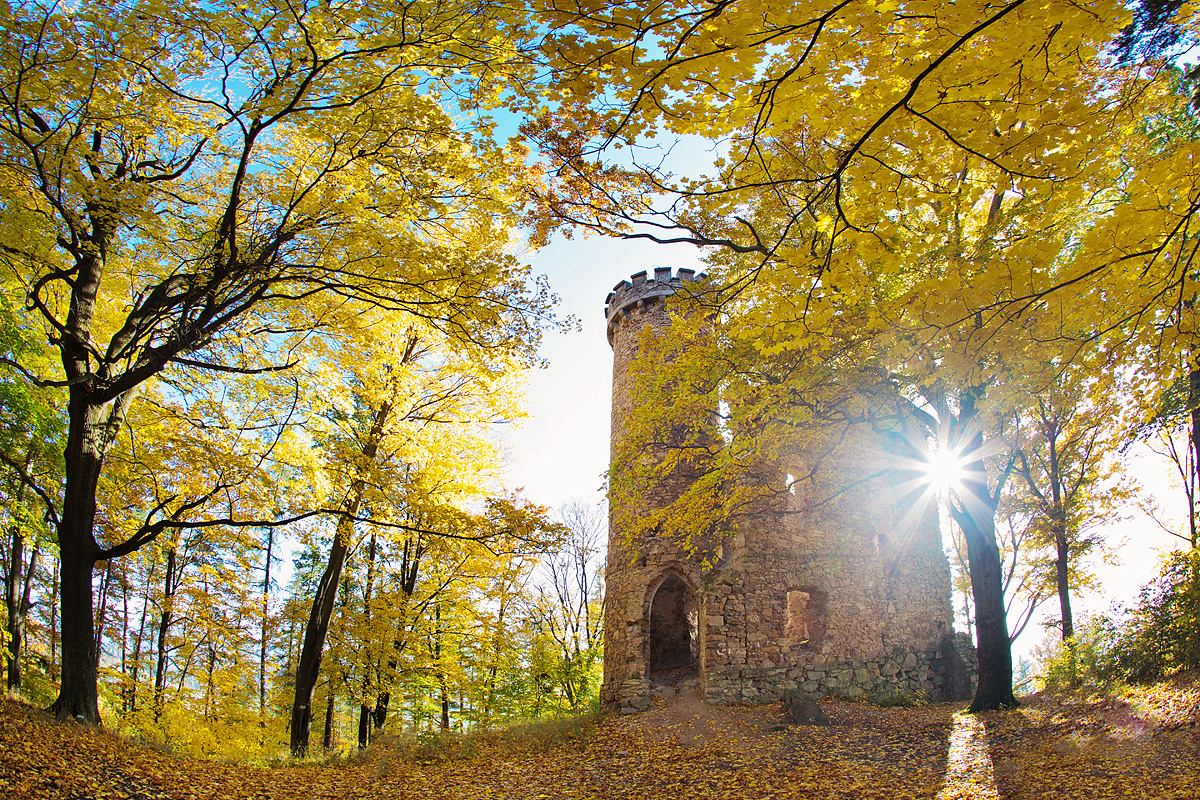 Prince Henry's Castle in Sosnówka