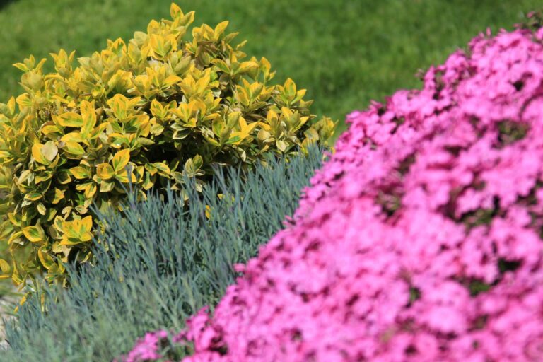 Blumen im Garten der Krone des Gutshofes Karkonosze in Sosnówka bei Karpacz