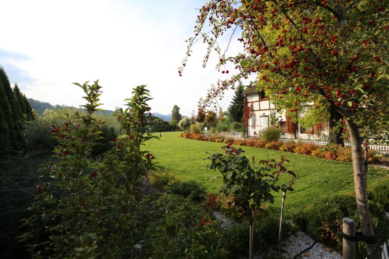 garden and lawn, Dwór Korona Karkonoszy Sosnówka near Karpacz