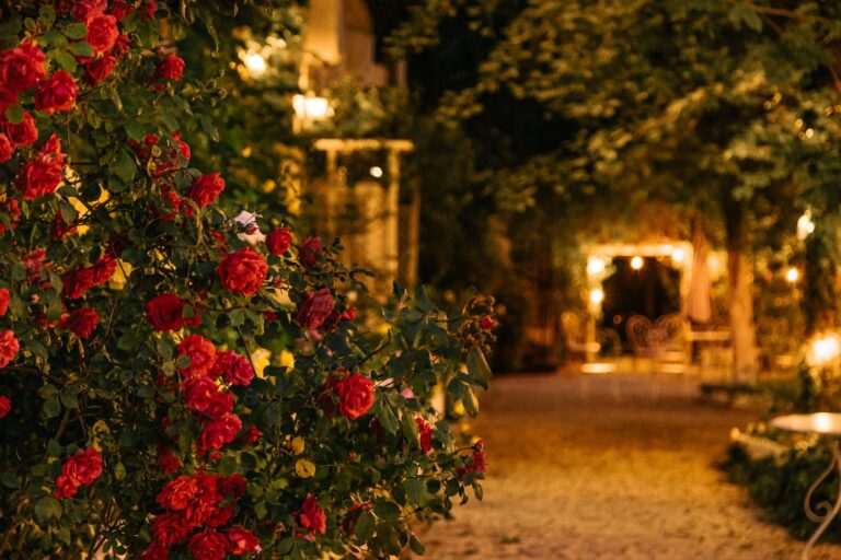 blühende Blumen im Garten von Dwór Korona Karkonosze