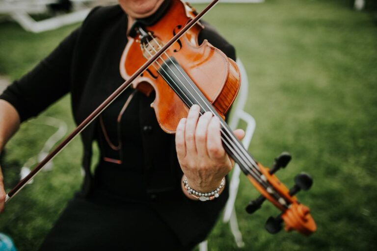 violin, making music in the garden, The Crown of the Karkonosze Court in Sosnówka near Karpacz