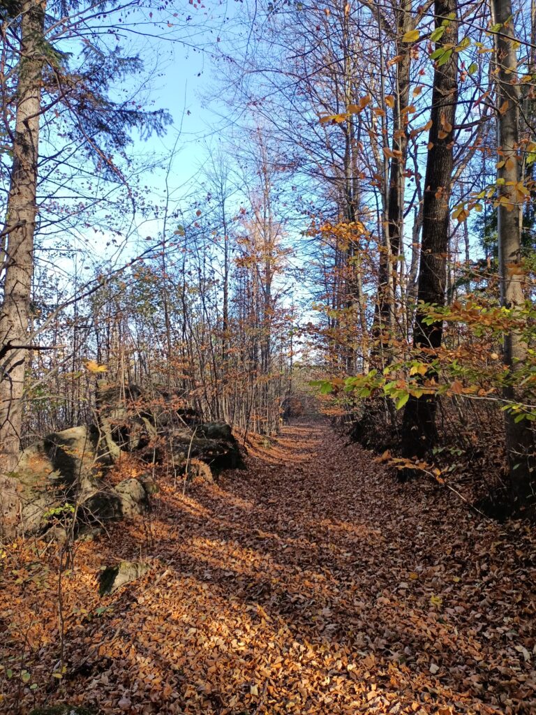 Sosnówka reservoir, Sosnówka near Karpacz, tourist attractions, Karkonosze Mountains