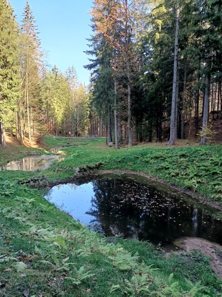 Sosnówka reservoir, Sosnówka near Karpacz, tourist attractions, Karkonosze Mountains