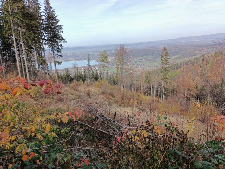 Stausee Sosnówka, Sosnówka bei Karpacz, Sehenswürdigkeiten, Riesengebirge