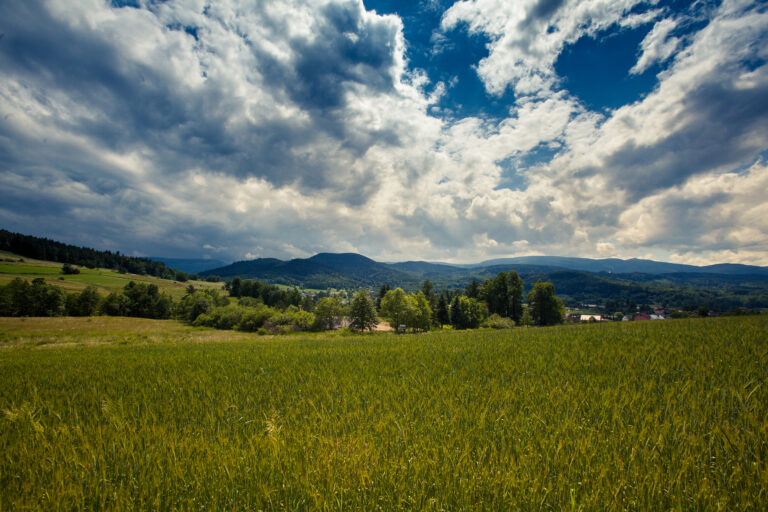 Sosnówka reservoir, Sosnówka near Karpacz, tourist attractions, Karkonosze Mountains